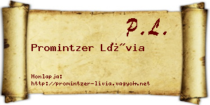 Promintzer Lívia névjegykártya
